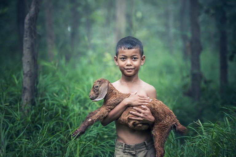 Tata Cara Aqiqah Sesuai Sunnah Rasulullah